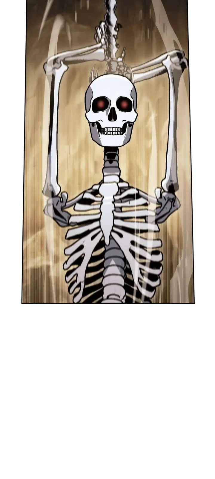 24526473 720 1600 42116