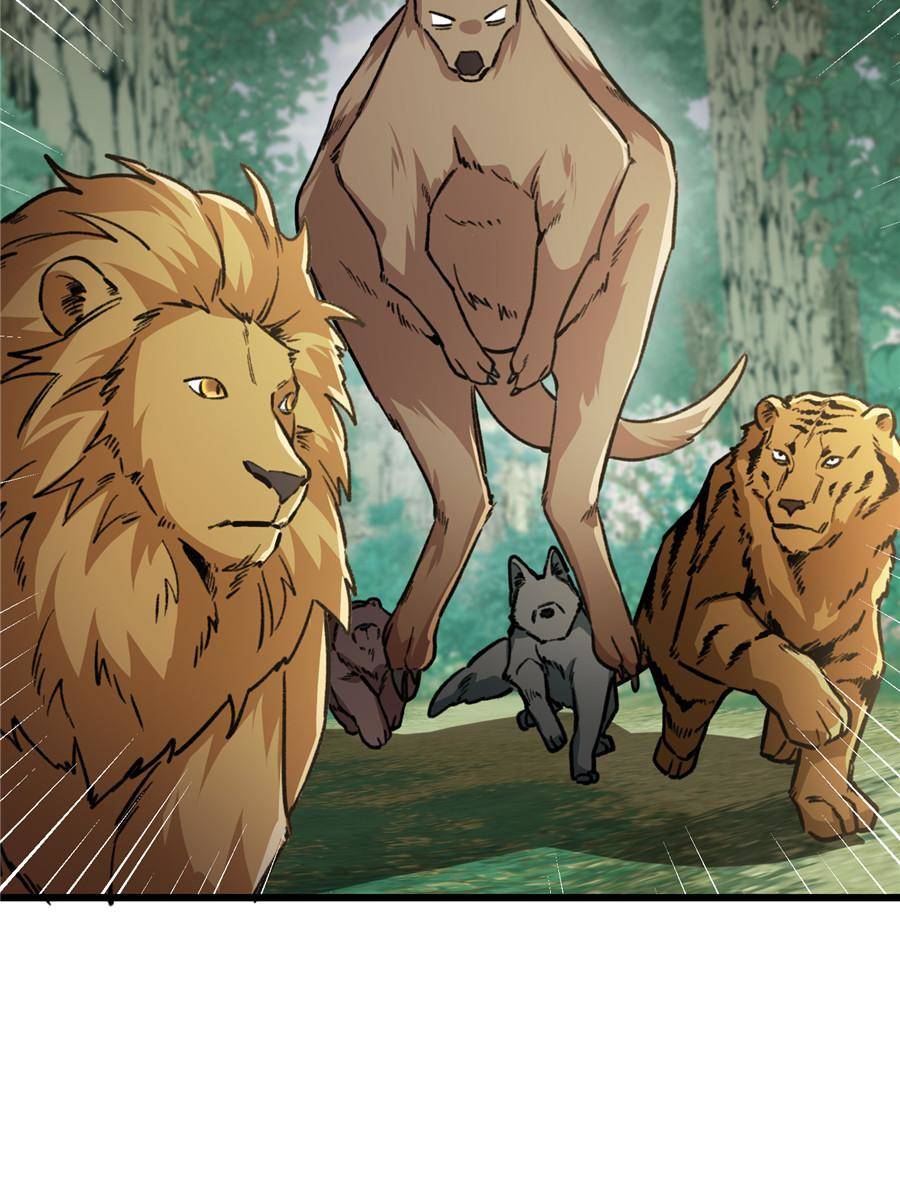 76410338 900 1200 122404